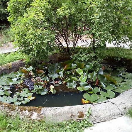 U Janecku * Teplice nad Metují